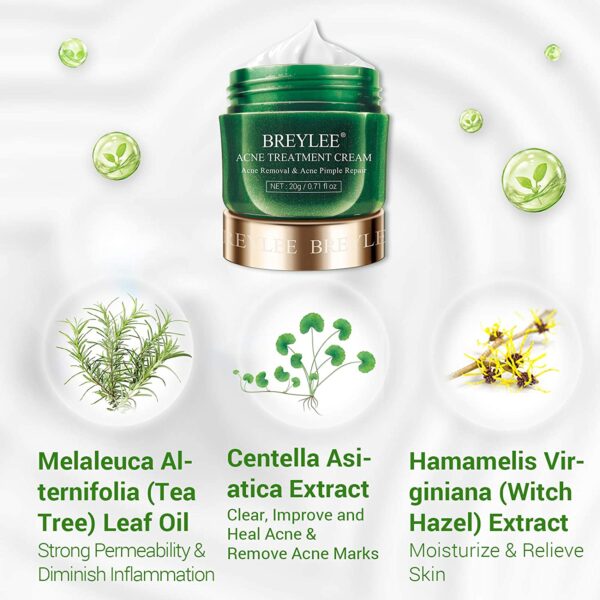 BREYLEE ACNE TREATMENT KIT - Image 3